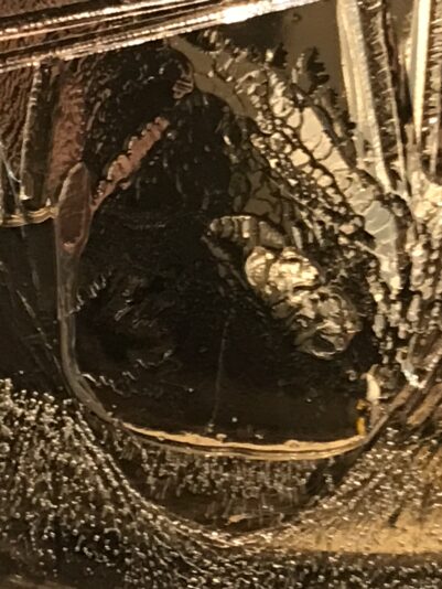 IMG_3120 5 organism