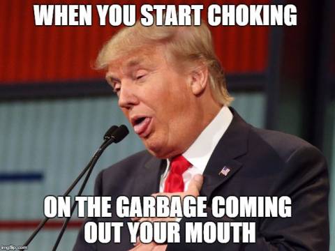 5473e2a7caa11dddd4c650919984b065--donald-trump-hair-meme-narcissist-quotes
