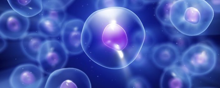 Understanding Science and the Mind