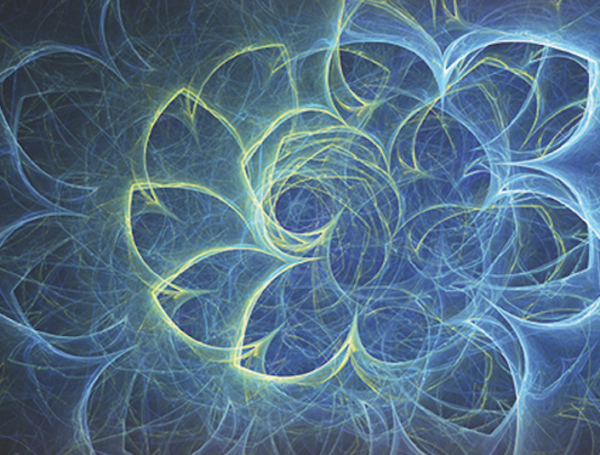 Decoding Life: Revealing a Radical New View of Reality
