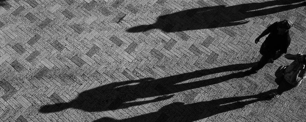 Shadow-work: integrity for activists
