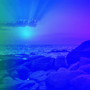 Holistic Health Mastery
