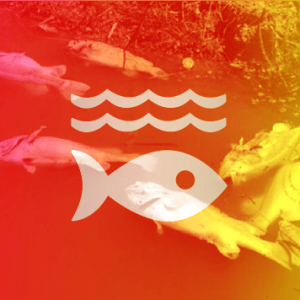 United Nations SDG 014 – Life Below Water