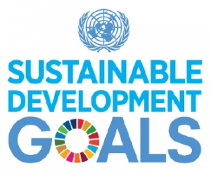 UN Sustainable development goals