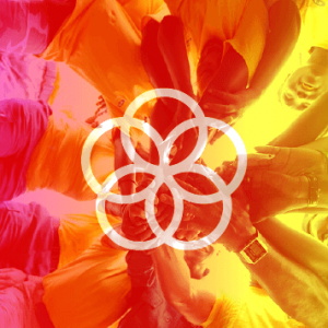 United Nations SDG 017 - Partnership for the Goals
