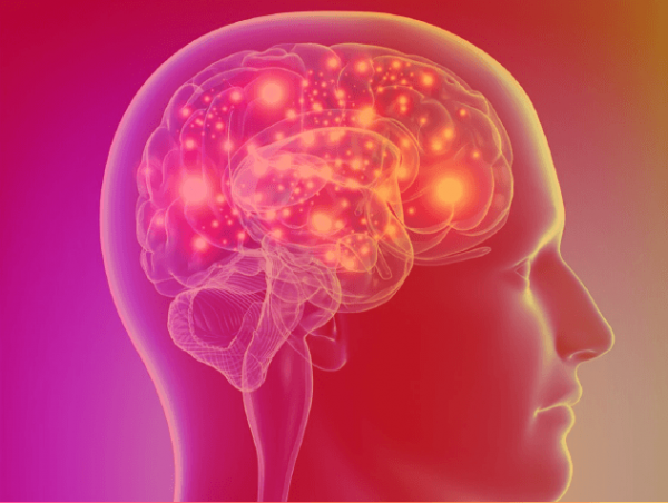 Psychobiology, Altered States of Consciousness and Neuroscience