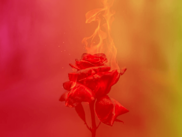 Where the Fire and the Rose Are One: The Dante Salons