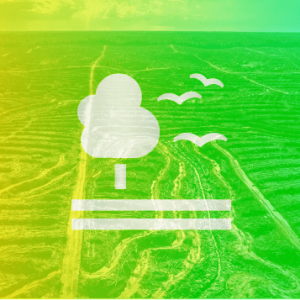United Nations SDG 015 – Life on Land