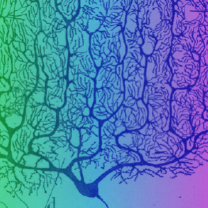 Science and Consciousness: The Wyrd World of Mind and Matter - November 14 - 18, 2021