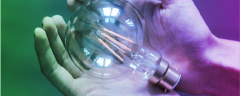 MATP-T101 – Incubator for Tolerance, Creativity and Innovation