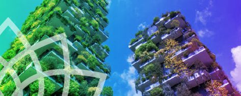 Cities Rising for a Regenerative World