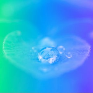 Introduction to Regenerative Development - Global Survey