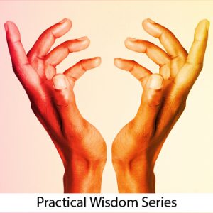 Body Language Basics