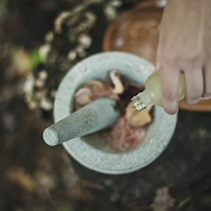 Graduate Degrees in Entheogenic Medicine