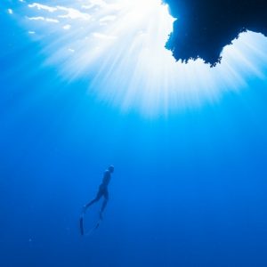 Science and Consciousness of the World (Course Package)