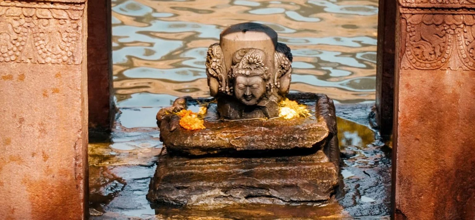 Graduate Degrees in Ayurveda and Yoga Ubiquity University