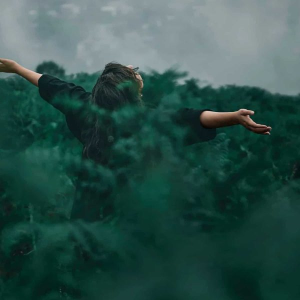 Graduate Degrees in Integral Transpersonal Psychology