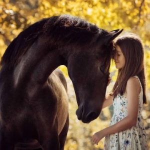 Intuitive Interspecies Communication with Our Animal Friends