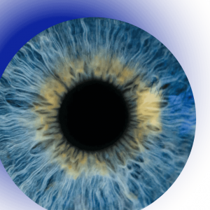 Graduate Degrees in Conscious Coding