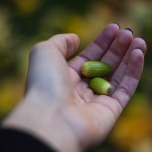 Authentic Education: A transformational approach to educating children outside of traditional systems