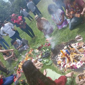 Masterclass: Foundations of Entheogenic Therapy & The Protocolo Q Model