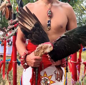 Masterclass: Therapeutic Uses of Psilocybin & Contemporary Integration of Ancestral Medicines