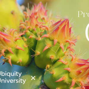 Protocolo Q Module 2 — Masterclass: TITLE