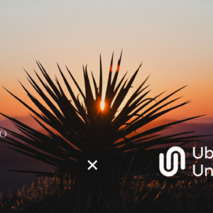 Protocolo Q Module 8 — Masterclass: Wachuma & Andean Healing Traditions