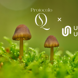 Protocolo Q Module 4 — Masterclass: TITLE