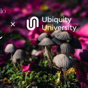 Protocolo Q Module 9 — Masterclass: TITLE