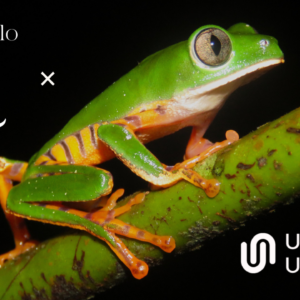 Protocolo Q Module 12 — Masterclass: TITLE