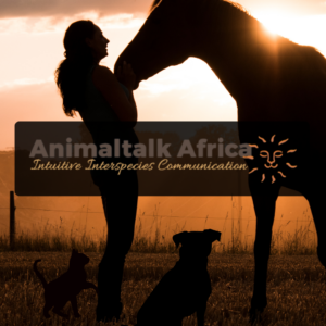 Intuitive Interspecies Communication with Our Animal Friends