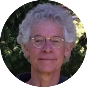 Jim Garrison, PhD, has had a lifetime of social and political activism beginning in the 1960s with the anti-war, anti-nuclear, citizen diplomacy and environmental movements.